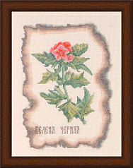 Вышивка КК-002 Белена черная Вышивка КК-002 Белена черная